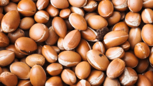 graines-argan